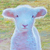 Painting of a lamb