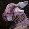 Painting of a Lambs face