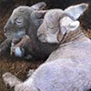 Painting of a two lambs